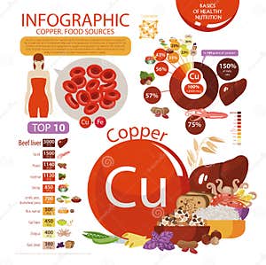 Infographics Of The Content Of Copper In Natural Organic Food Products Stock Vector Infographics Of The Content Of Copper In Natural Organic Food Products Stock Vector