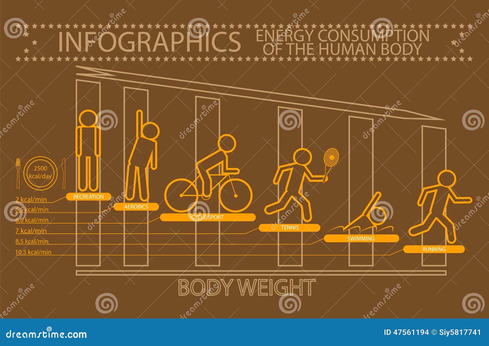 Infographics Energy Consumption Of The Human Body Stock Vector Image