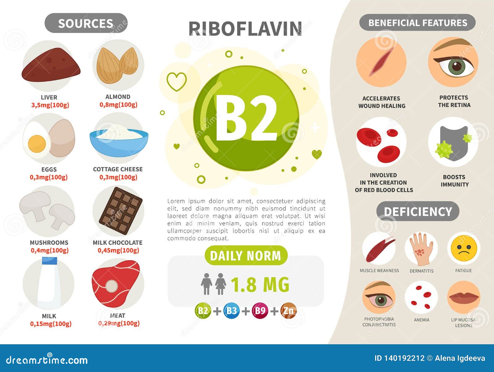 Infographics Vitamin B2 Stock Vector Illustration Of