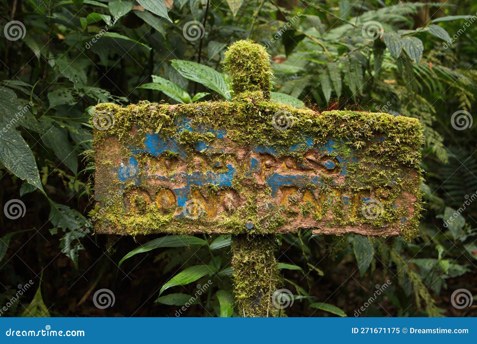 information board in bosque nuboso national park near santa elena in costa rica