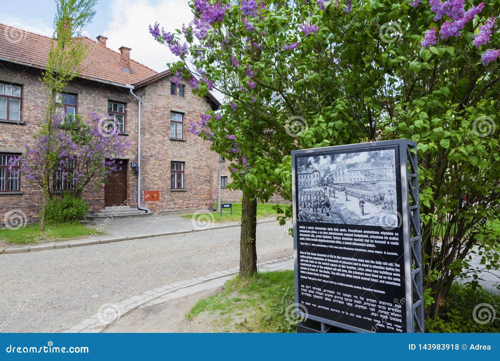 information board and the 24th block from auschwitz