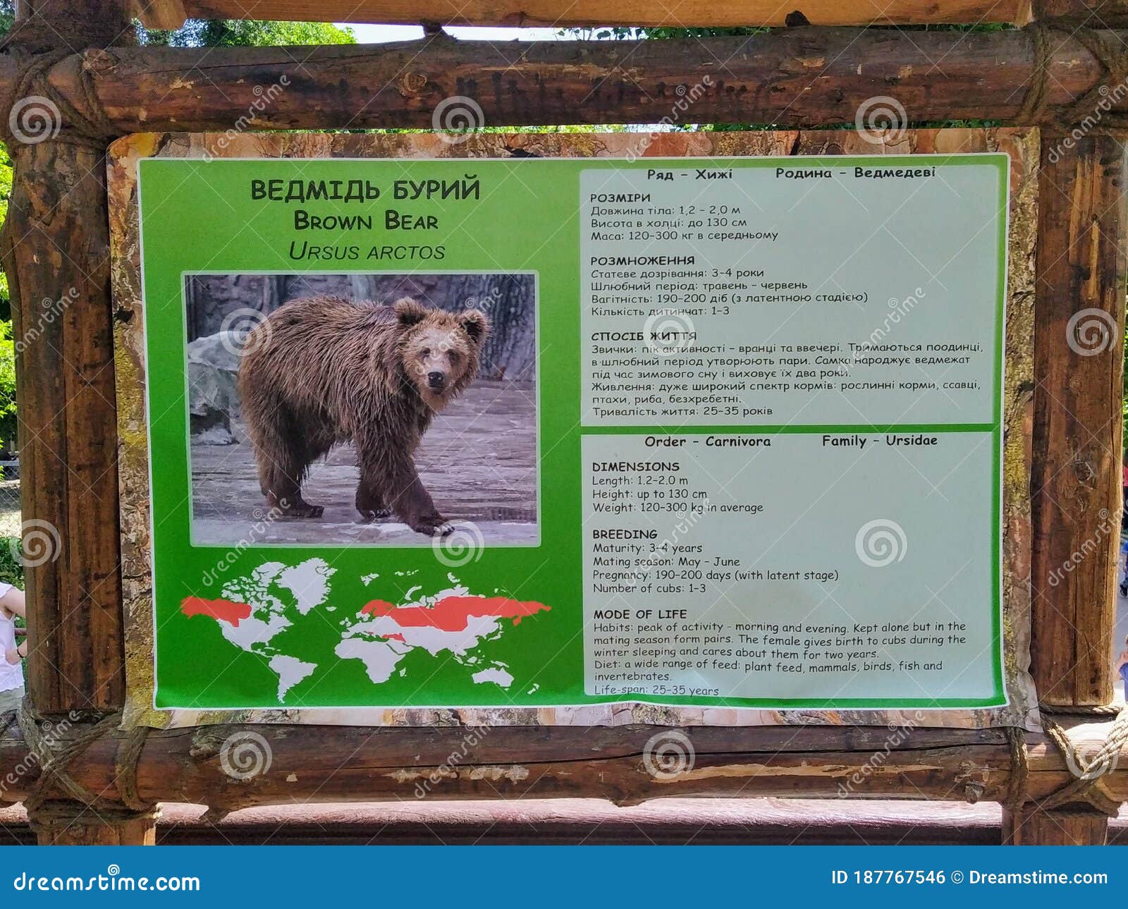Information of Brown Bear on Info Board in Zoo Editorial Photo - Image of information, animal: 187767546 Information of Brown Bear on Info Board in Zoo Editorial Photo - Image of information, animal: 187767546