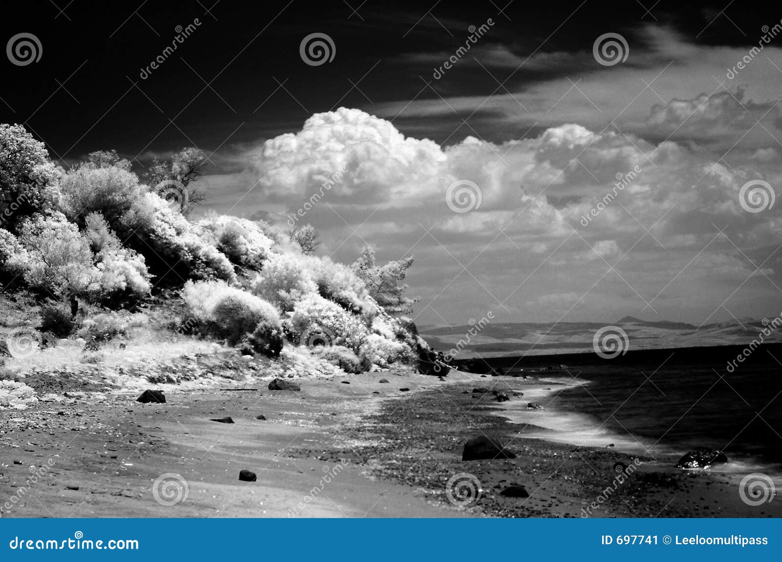 infrared landscape