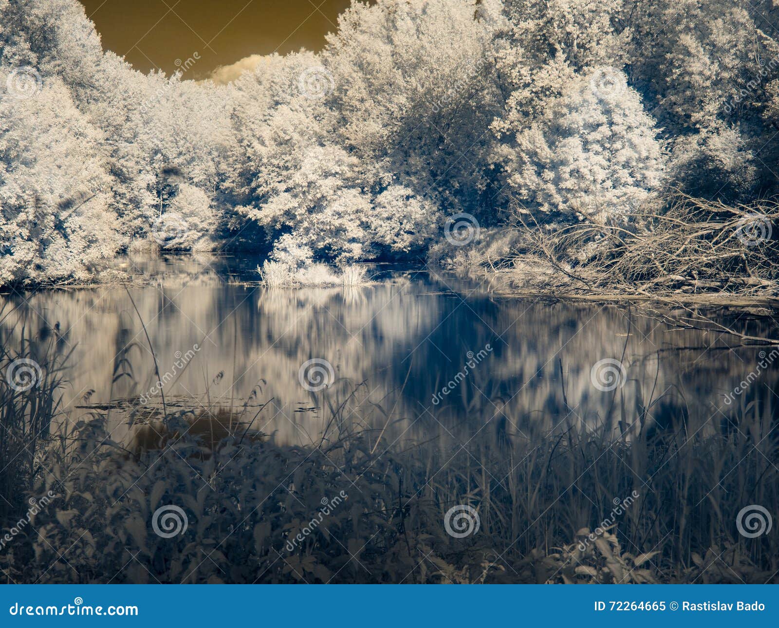 Infrarode mening bij de Alluviale gebieden van Donau ` s. Infrarode mening bij gebied-specifiek land van Donau ` s in Slowakije in de lente - Kalender` s thema