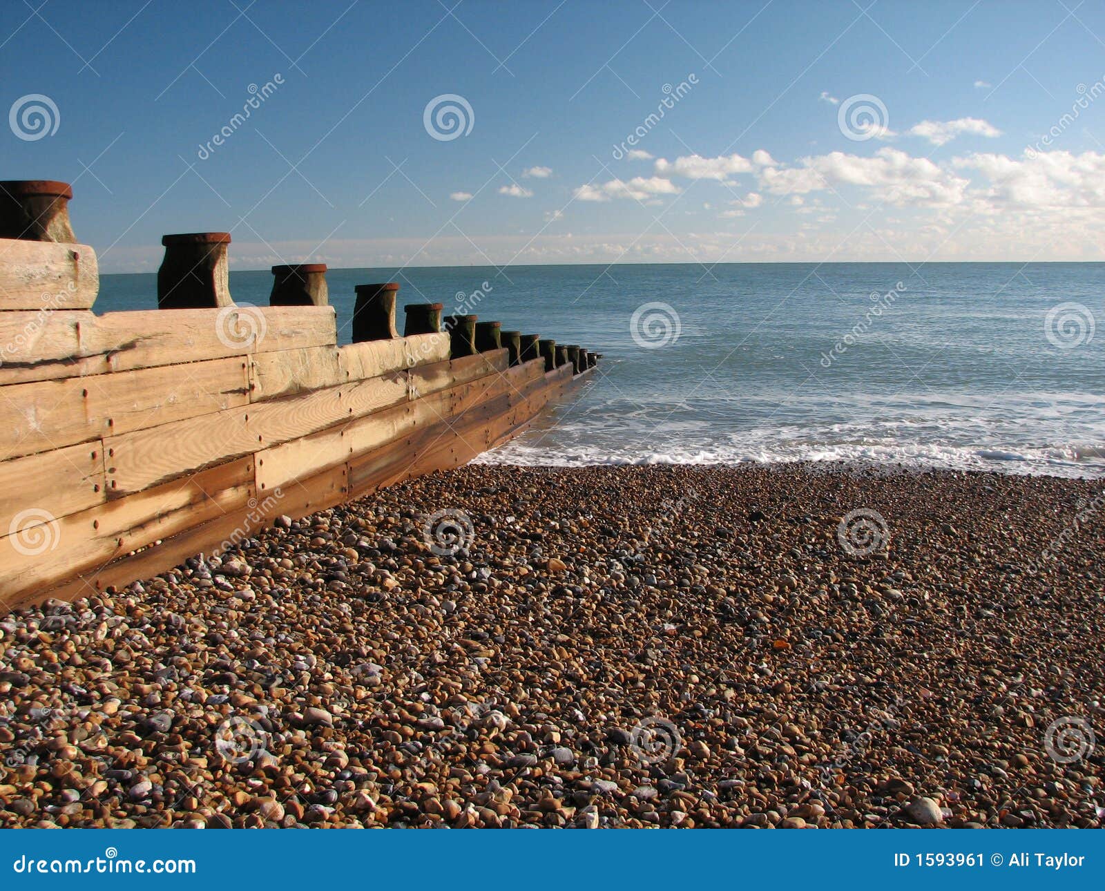 Ingles del mar imagen de archivo. Imagen de madera, guijarros 1593961