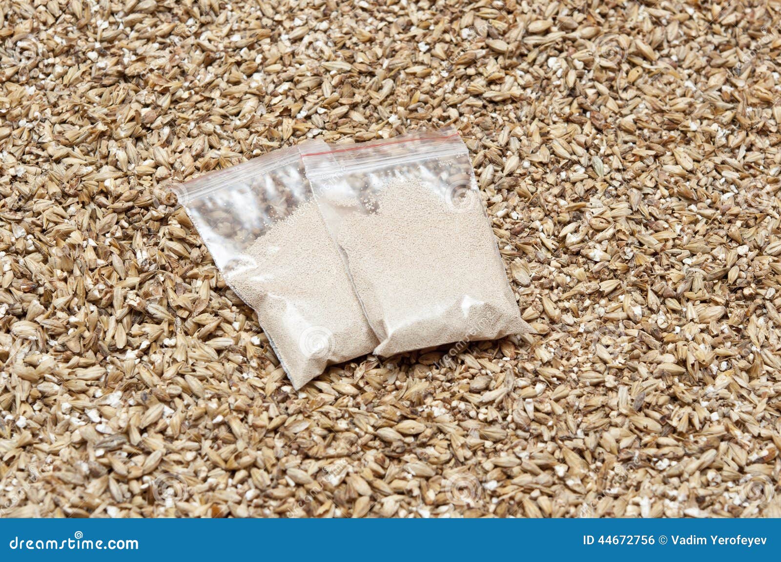 Ingredient for beer. stock photo. Image of rustic, crop 44672756