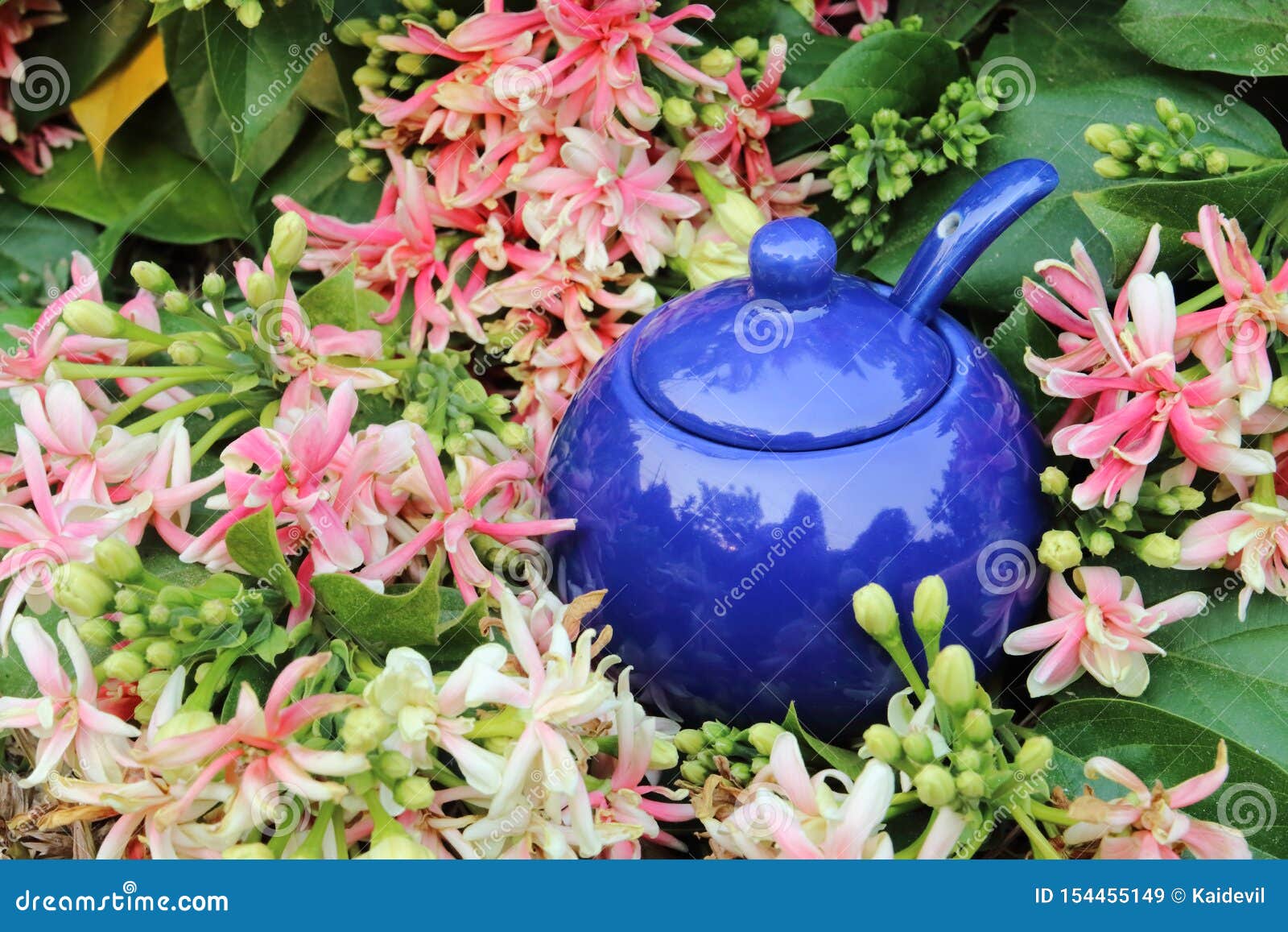Ingredient Pot in Flower Bush Stock Image Image of sweetener, sugar