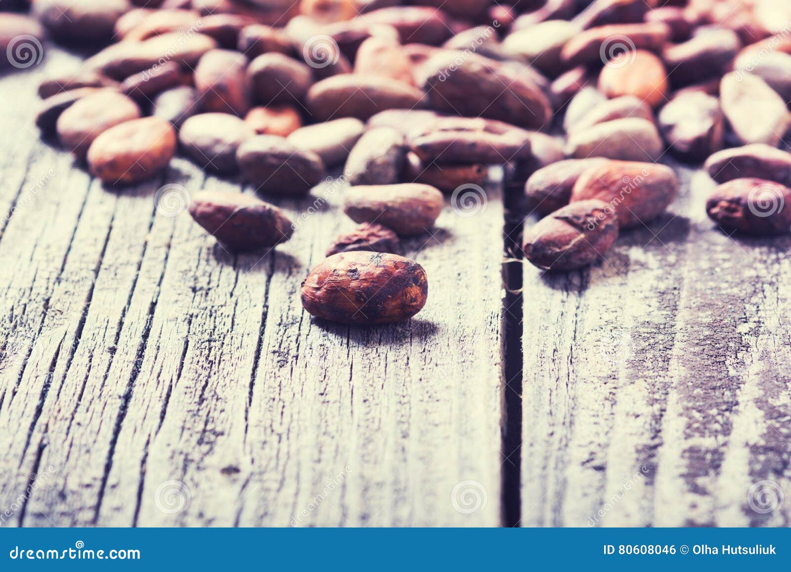 Ingredient for Preparation Chocolate Stock Photo Image of crop, dried