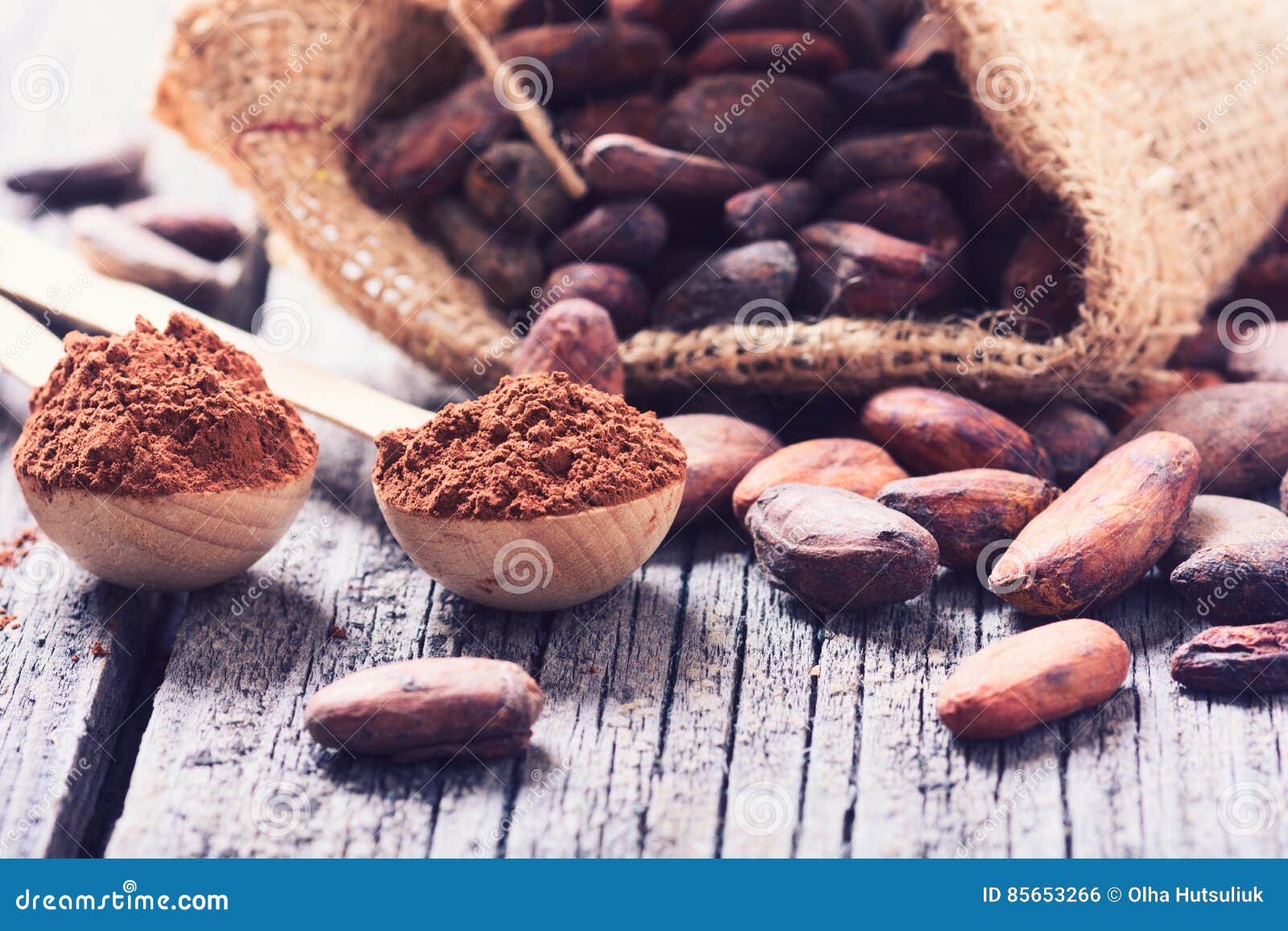 Ingredient for Preparation Chocolate Stock Photo Image of nature