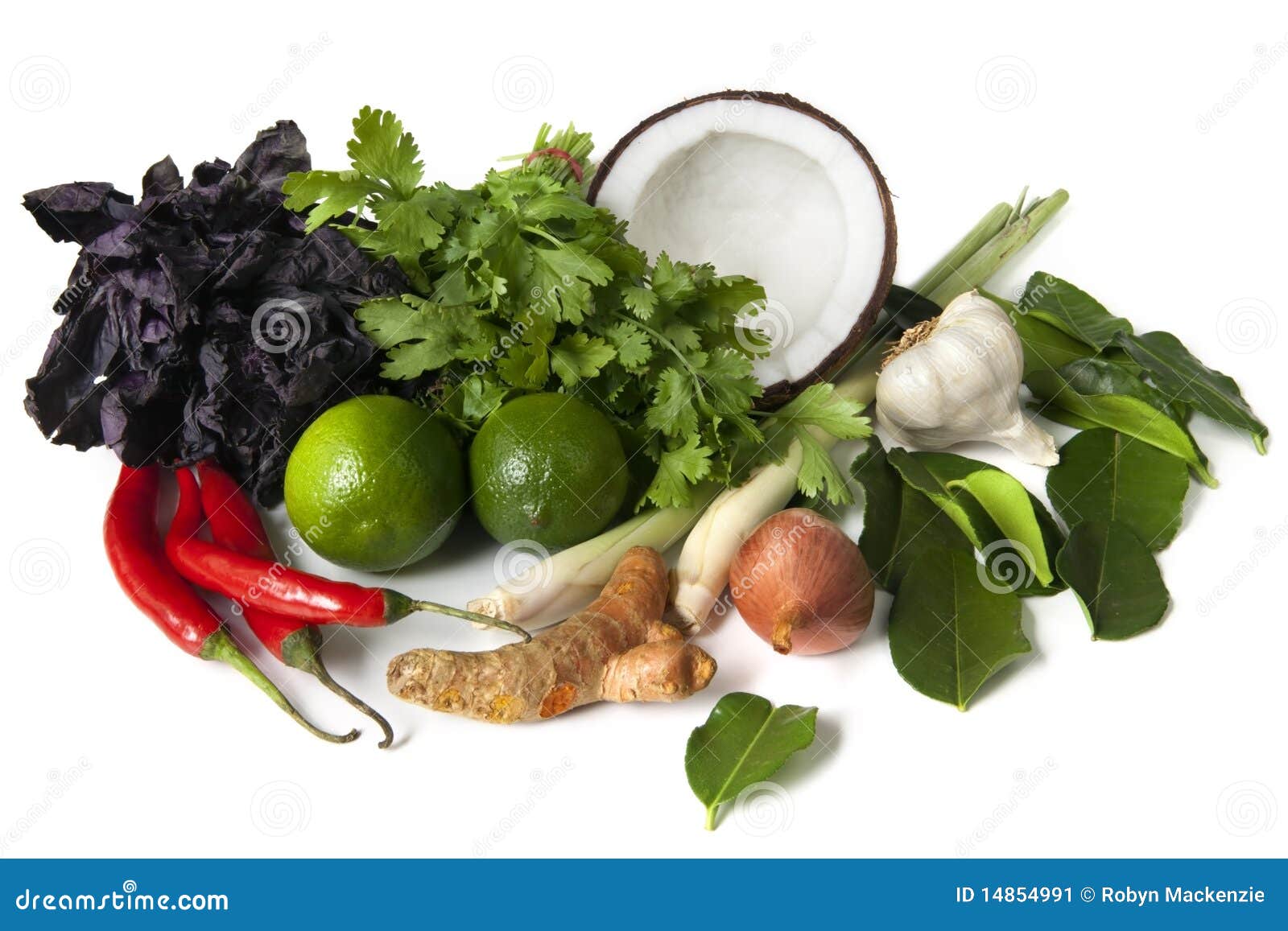 Ingredientes de alimento tailandeses. Os ingredientes para o alimento tailandês, aprontam-se cozinhando. Inclui a manjericão, coentro ou cilantro, coco, nardo, alho, as folhas do cal do kaffir, shallots, cais, pimentas de pimentões vermelhos, e galangal roxos.