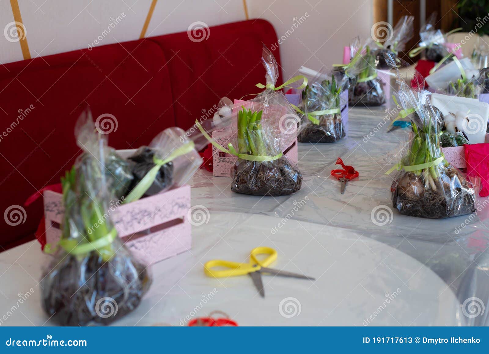 Ingredients for Creating Flower Arrangements Stock Image Image of