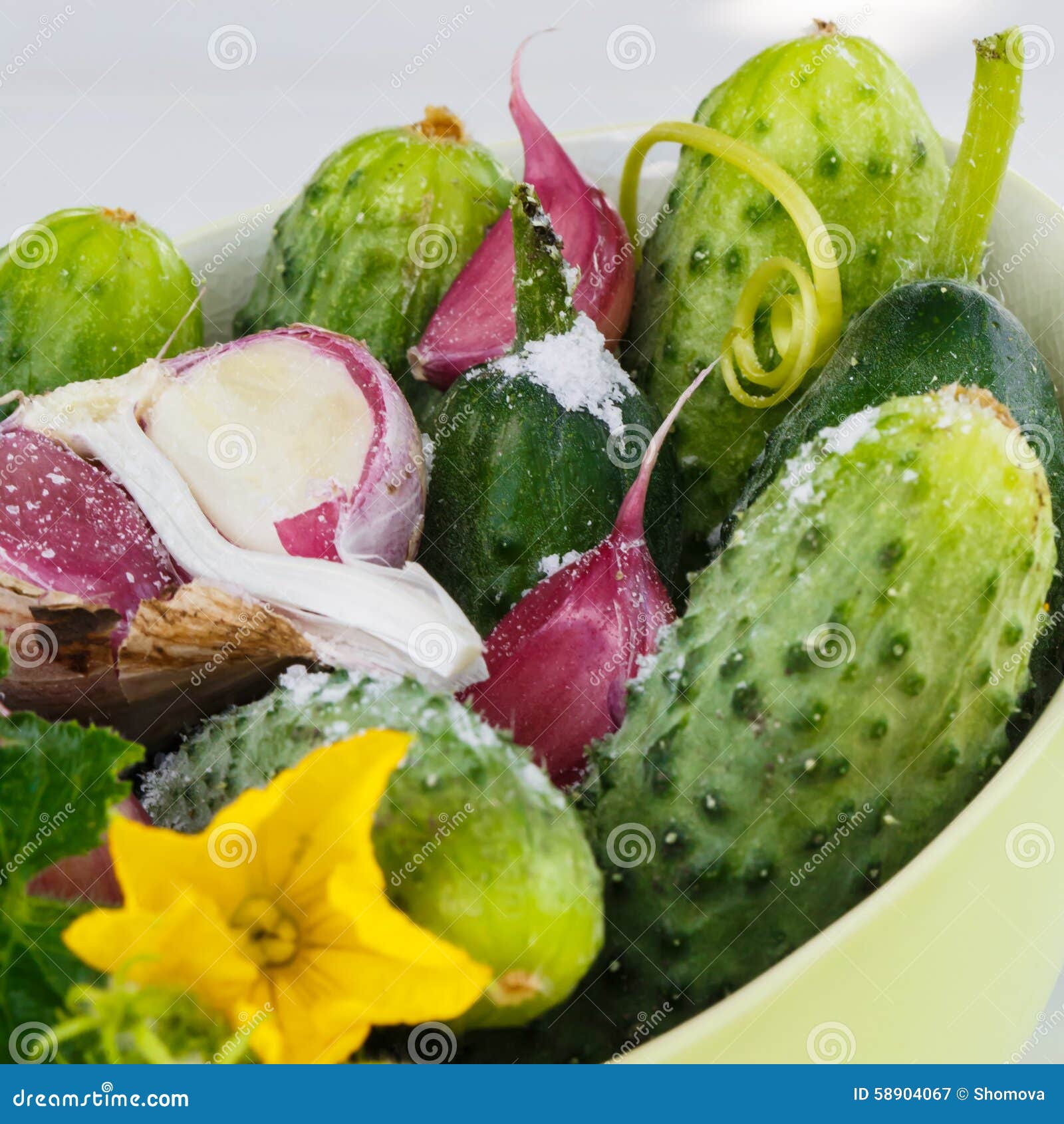 Ingredients for Pickling Cucumbers, Square Stock Image Image of peper