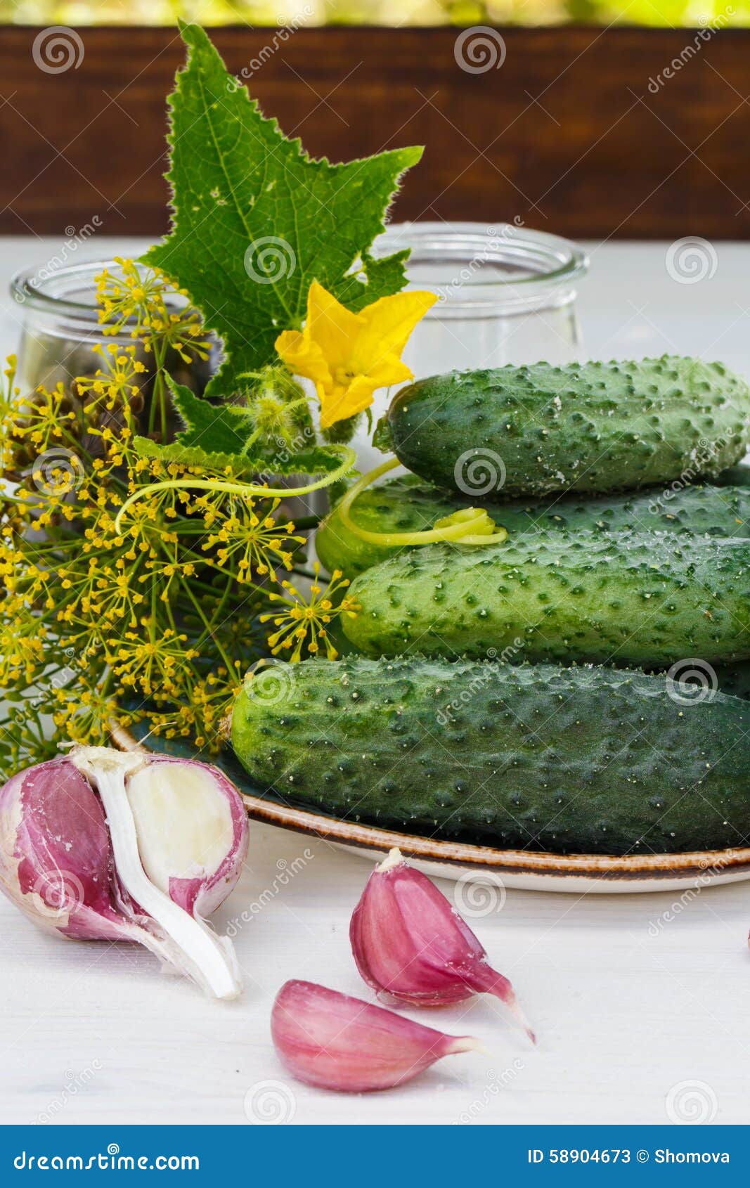 Ingredients for Pickling Cucumbers Stock Image Image of pickle, green
