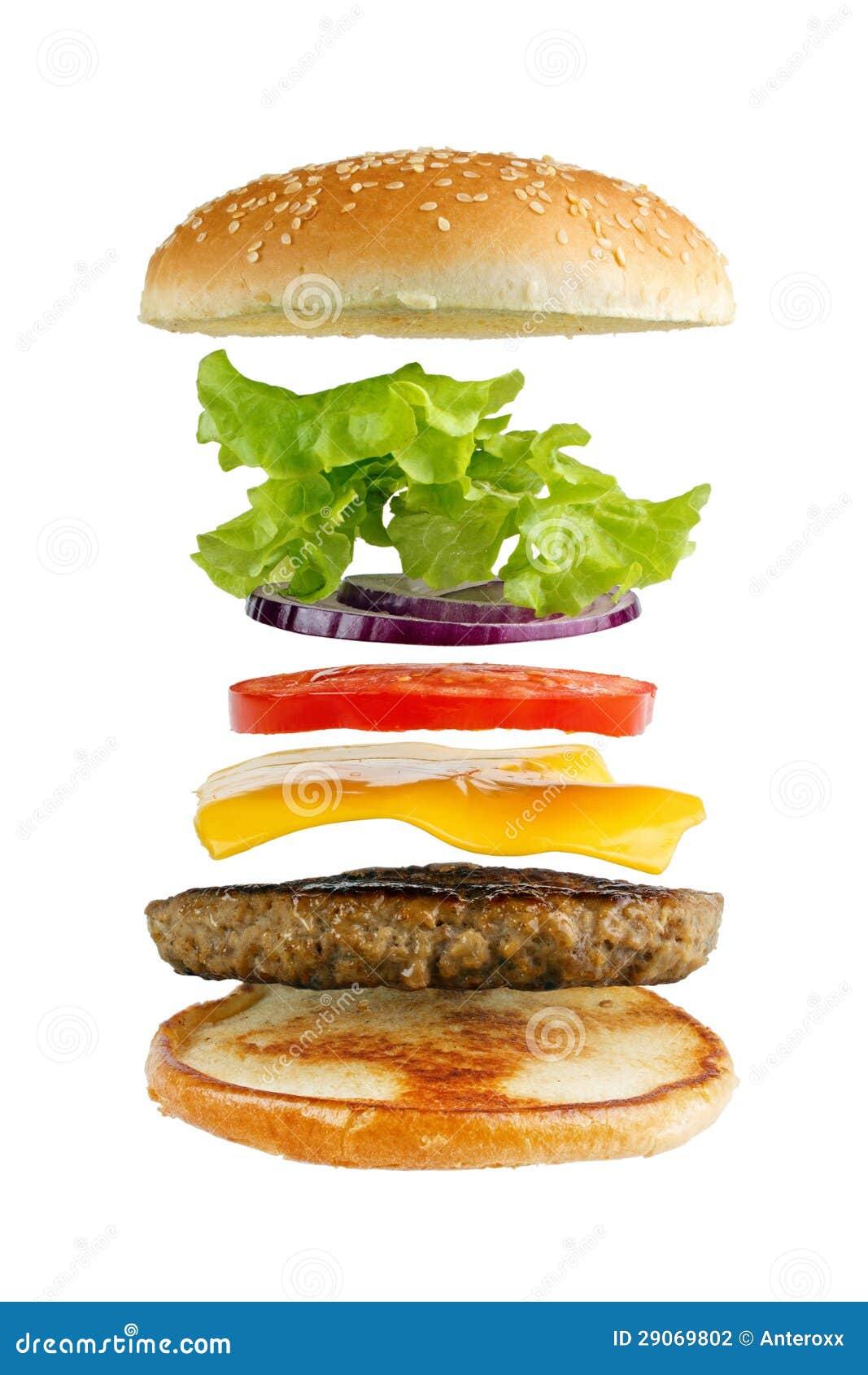 Ingrédients d'hamburger photo stock. Image du ingrédients 29069802