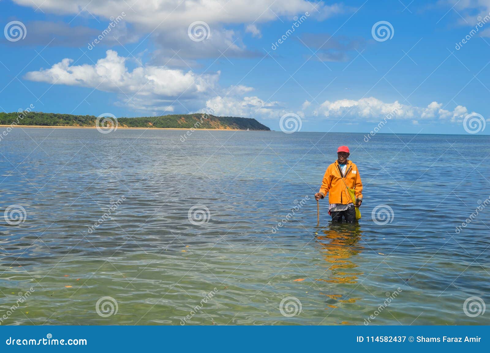 Spear Fishes Stock Photos - Free & Royalty-Free Stock Photos from Dreamstime