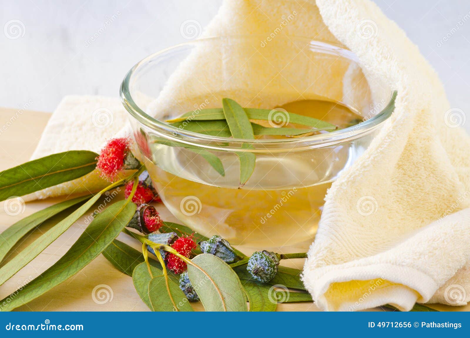 Inhalación Del Vapor Del Eucalipto Foto de archivo Imagen de primer, blanco 49712656