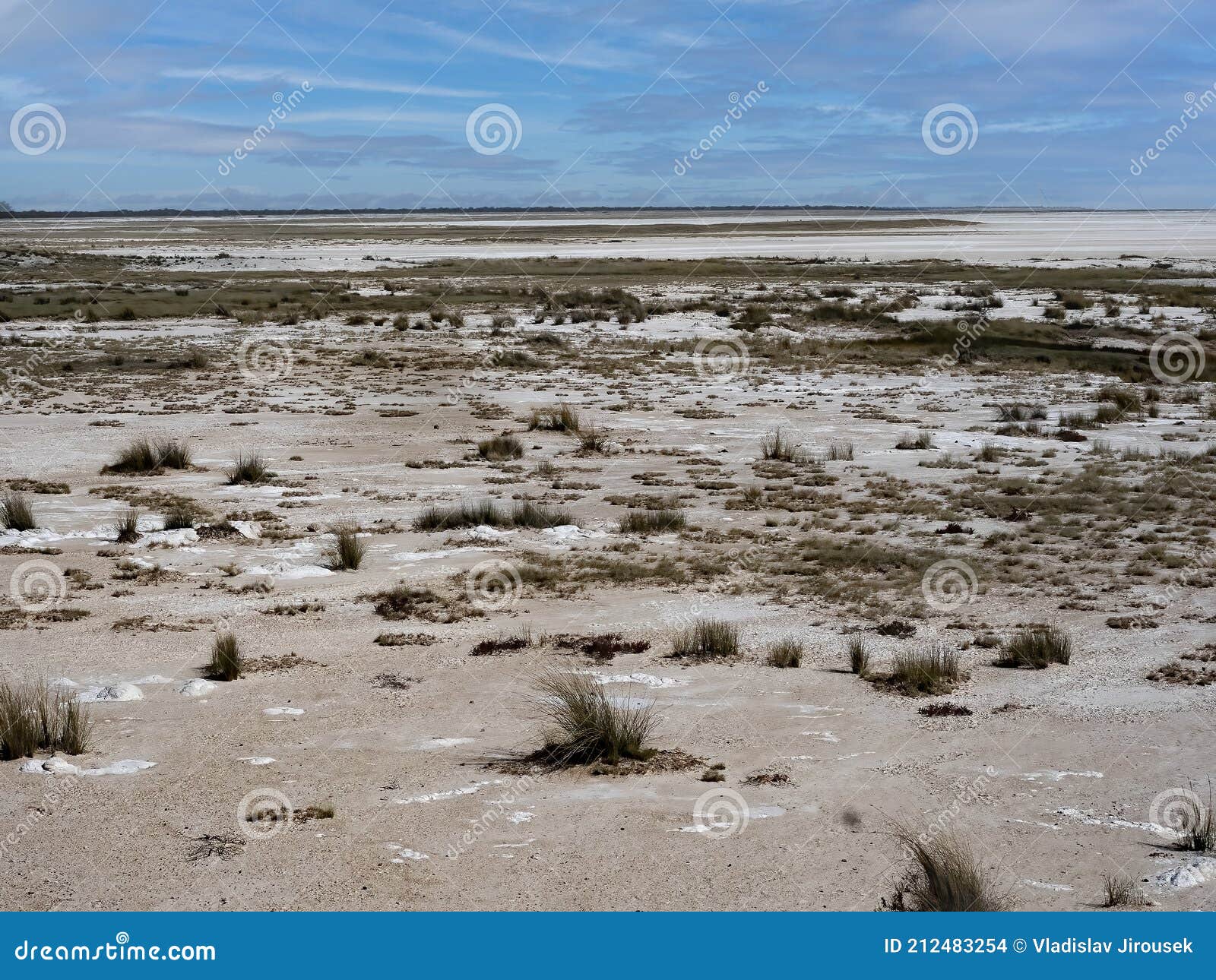 inhospitable landscape in etosha national park. namibia