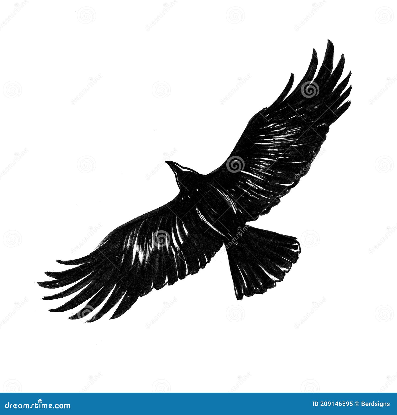 Crow Flying High-Res Vector Graphic - Getty Images