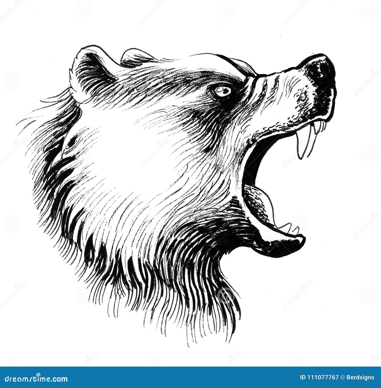 Angry bear stock illustration. Illustration of grizzly - 111077767