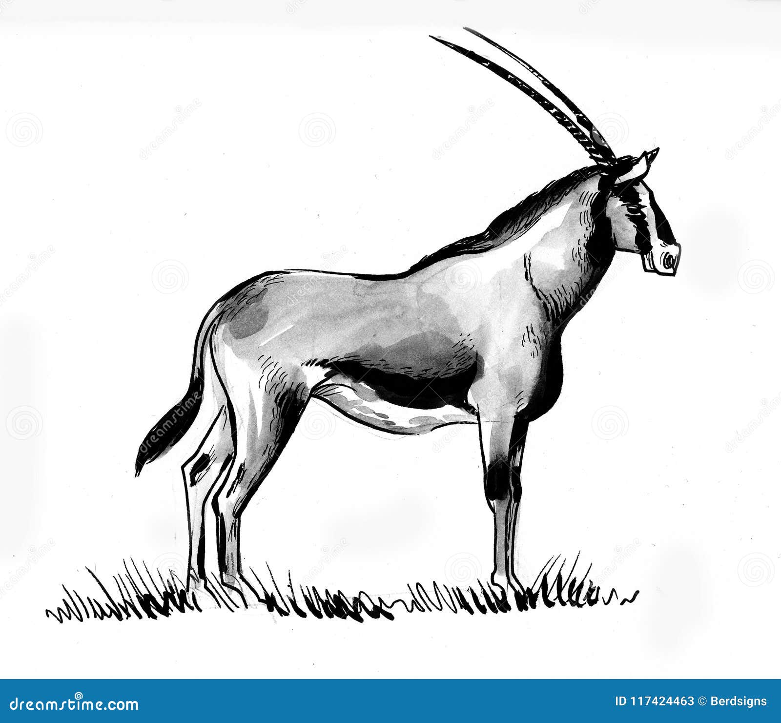 Standing antelope stock illustration. Illustration of watercolor
