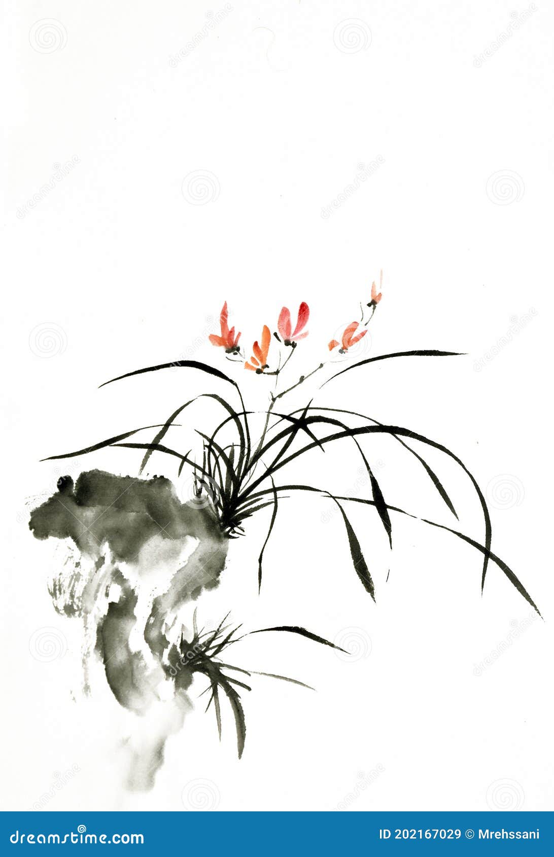 How to paint a simple orchid in Chinese ink - Artists & Illustrators