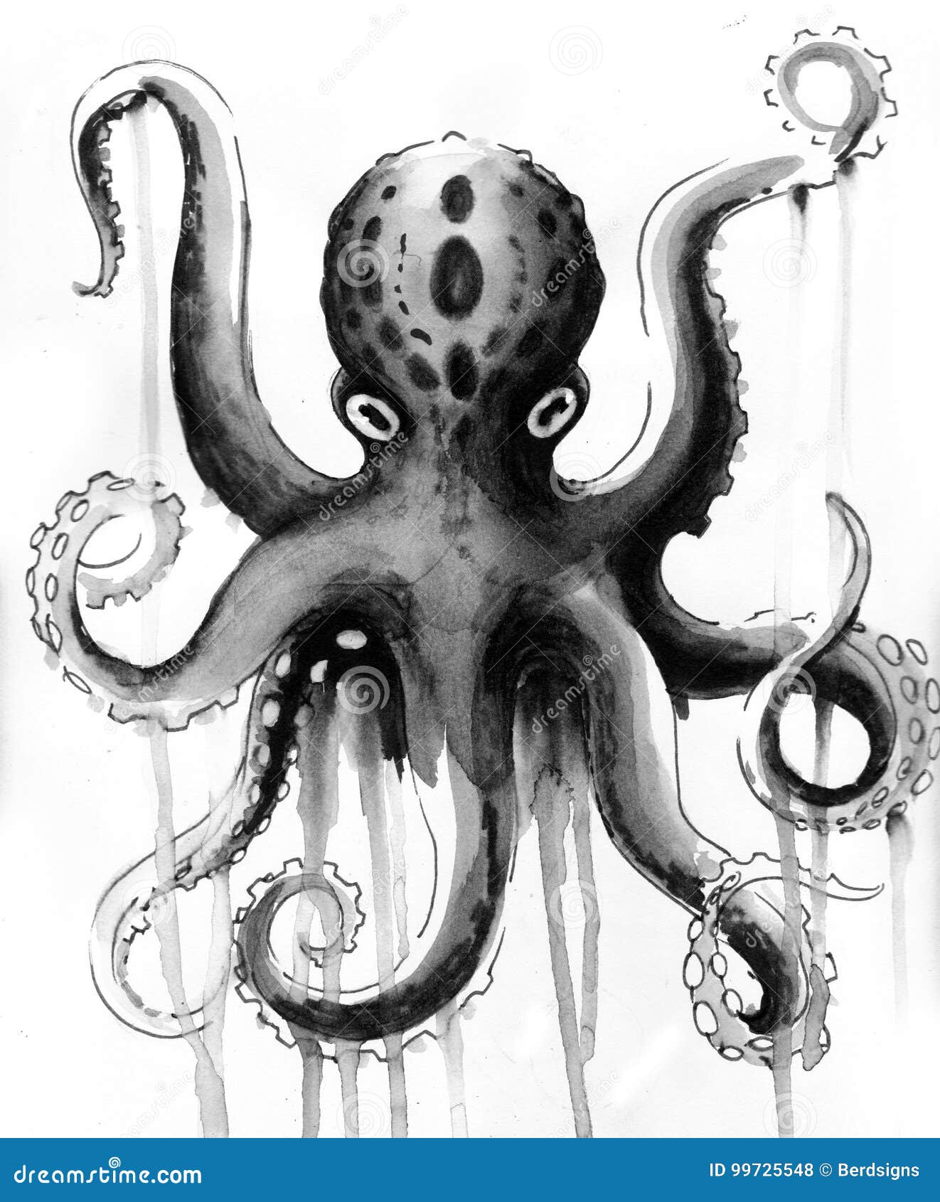 octopus ink octopus ink