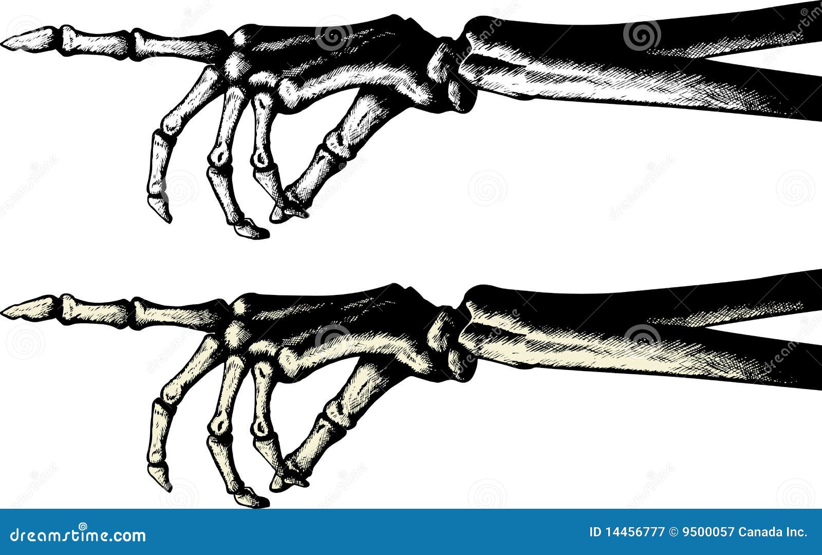 Skeleton Hand Pointing Stock Illustrations – 161 Skeleton Hand Pointing  Stock Illustrations, Vectors & Clipart - Dreamstime