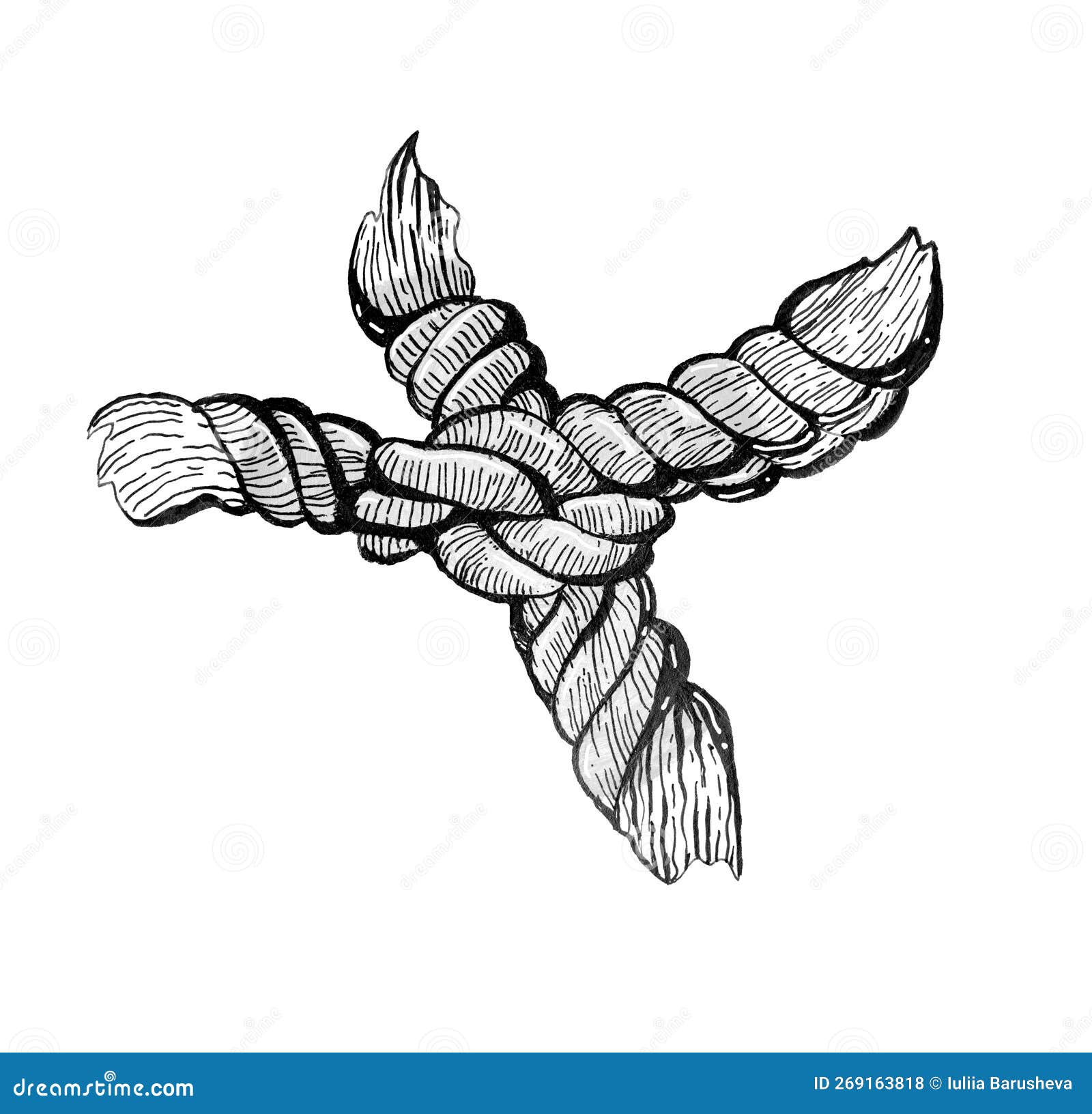 Ink Rope Knot Hand Drawing Isolated on White Background Stock Illustration  - Illustration of pattern, isolated: 269163818