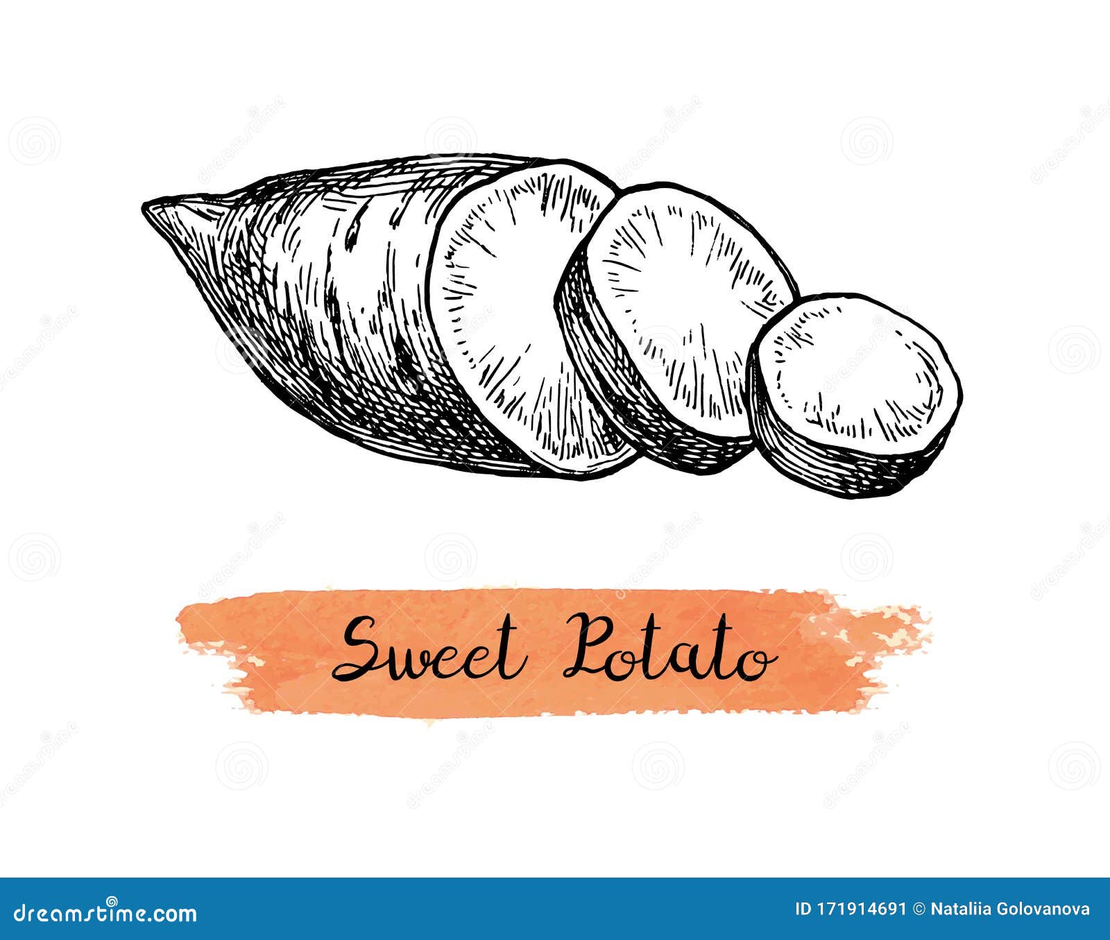Sweet Potato Yam Outline Vector Sketch  Ubi Black And White PngYam Png   free transparent png images  pngaaacom