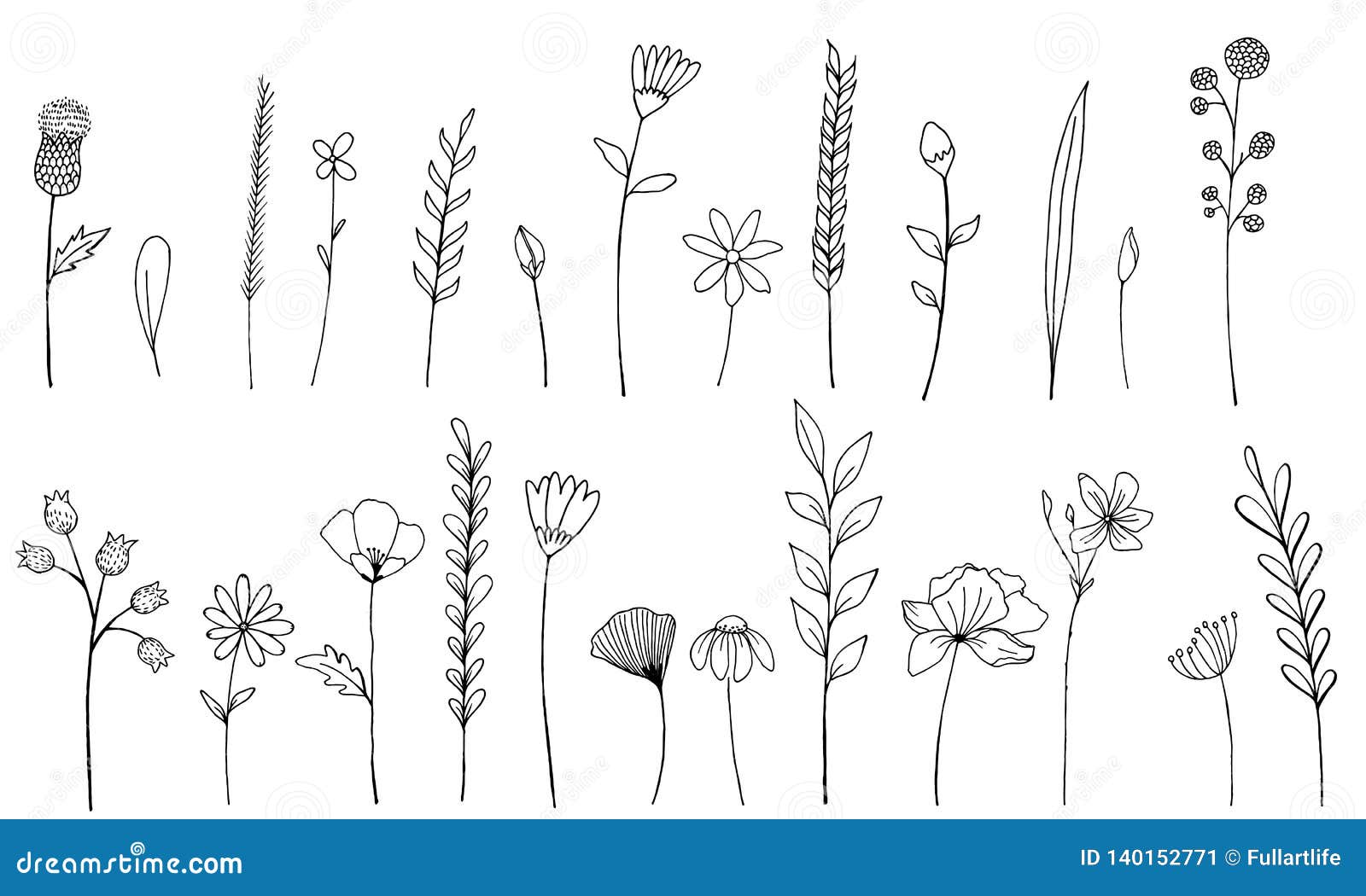 Field of Wildflowers vector illustration