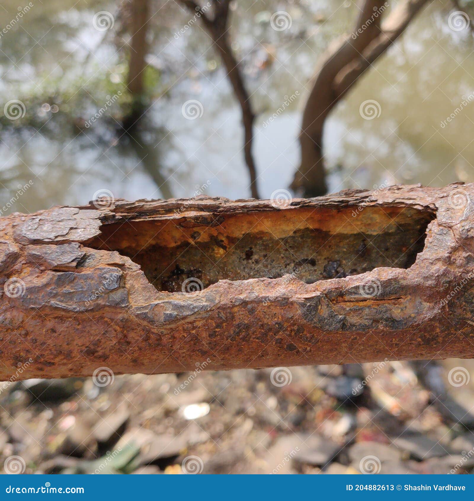 The Inner Surface of a Rusty Iron Bar, Charkop Stock Image Image of wood, plant 204882613