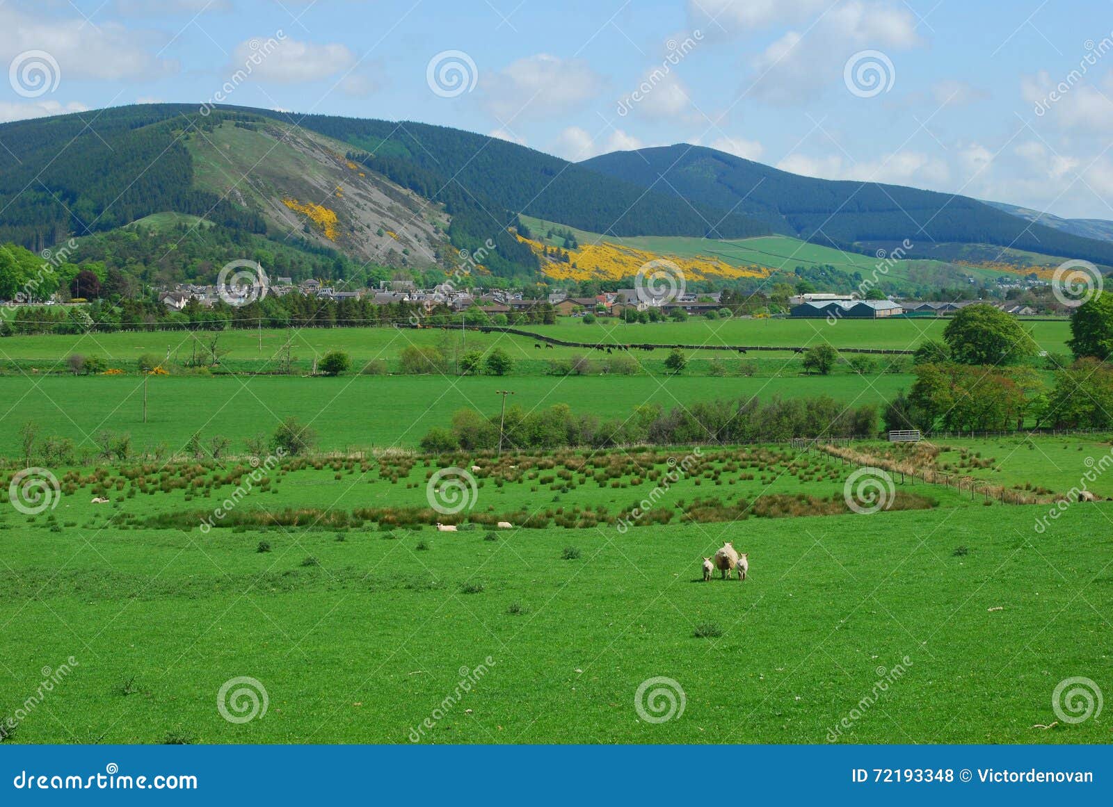 Innerleithen in the Tweed Valley Stock Photo Image of hills, white