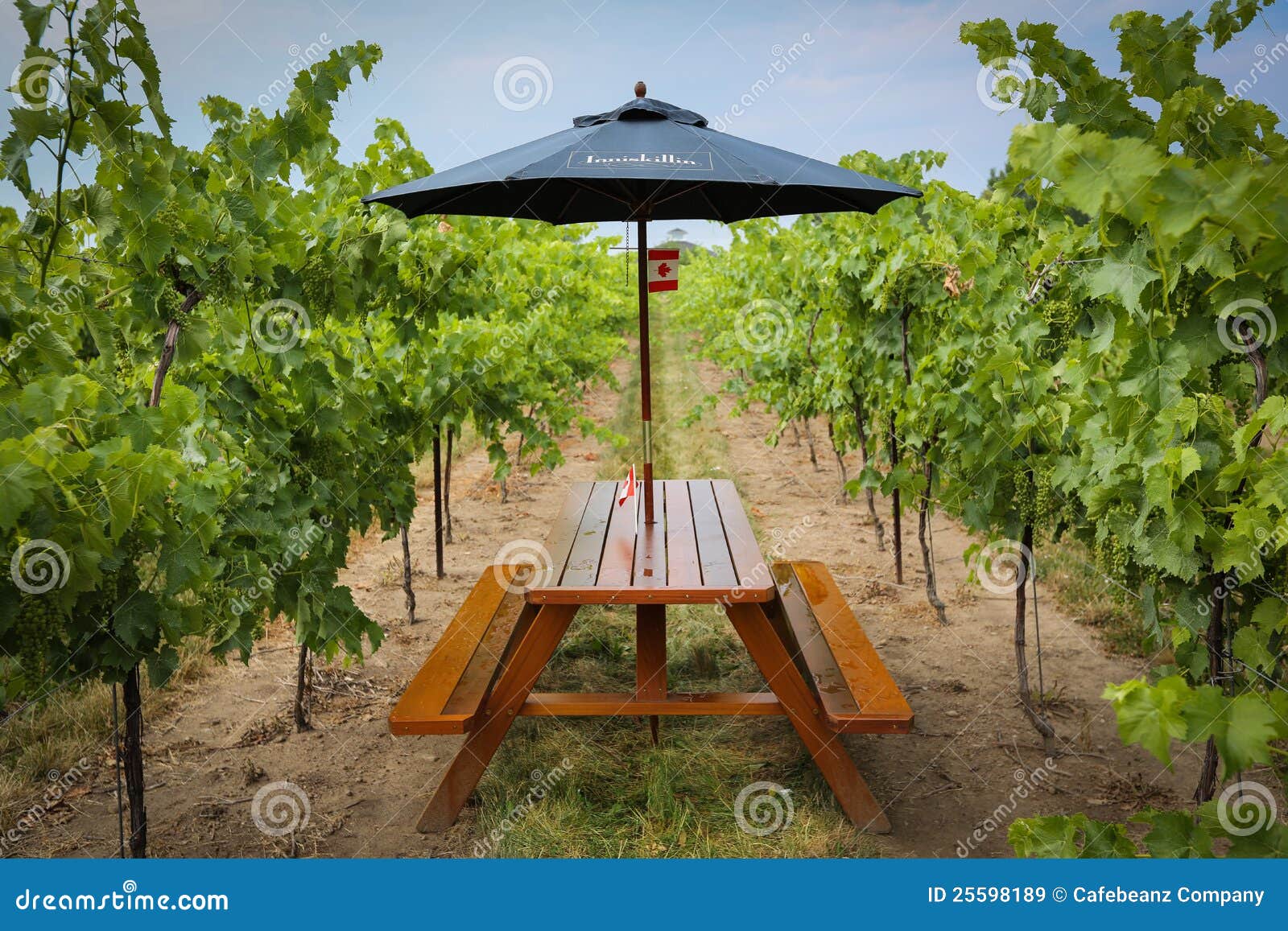 Inniskillin Private Wine Tasting Editorial Stock Image Image of