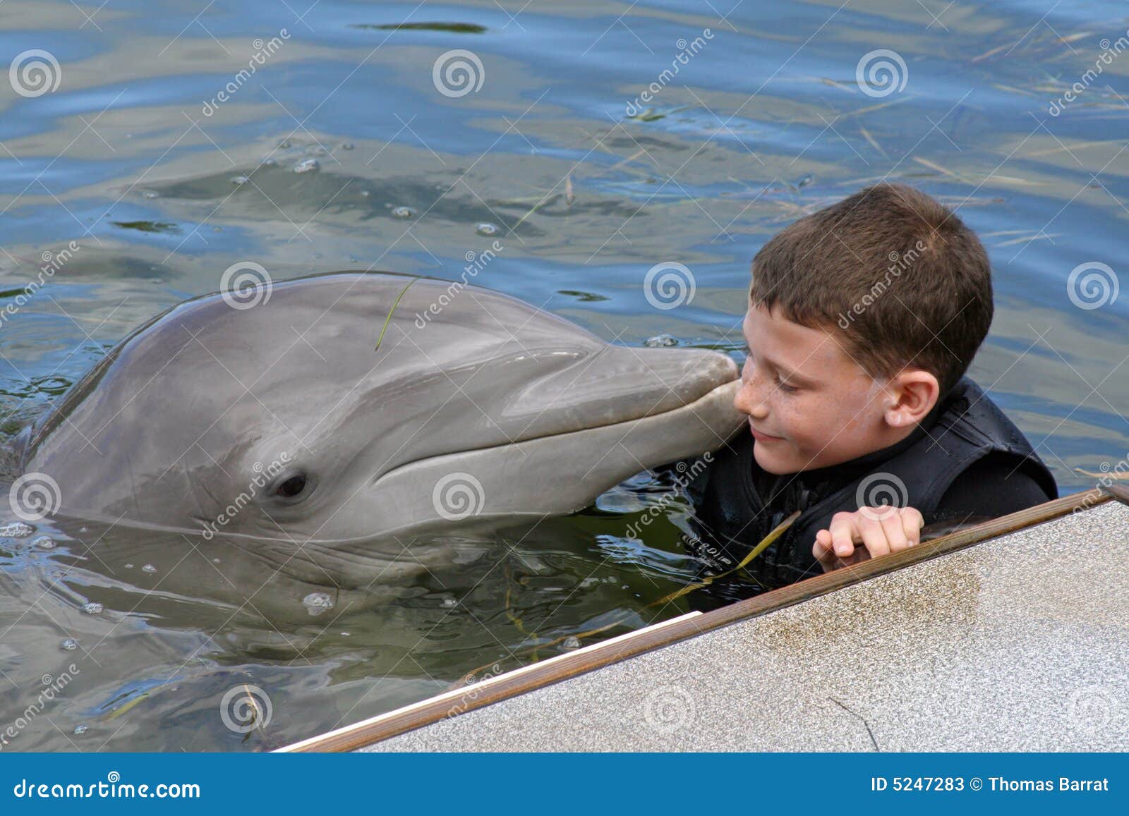 innocent young boy with a dolphin