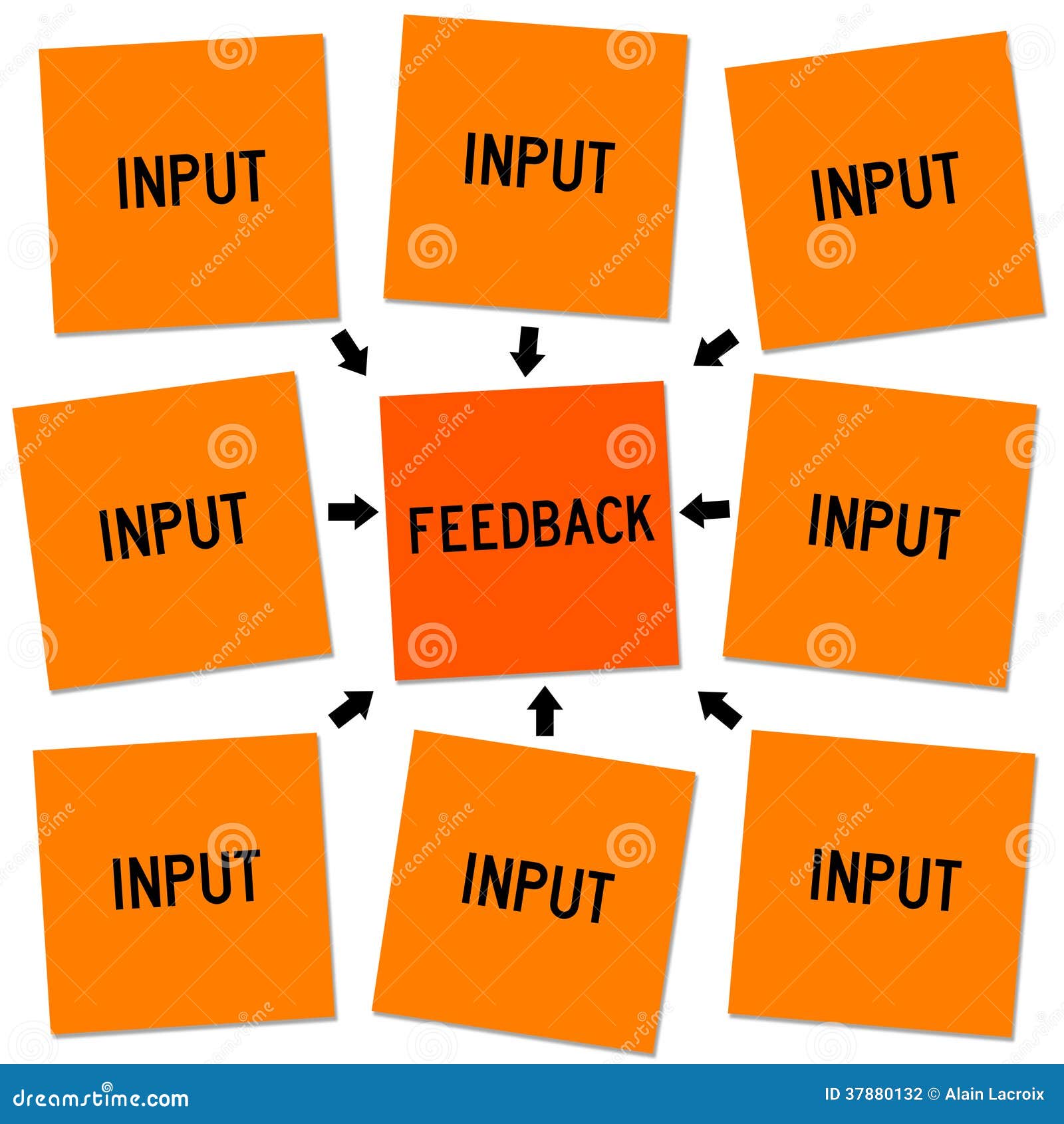 input and feedback