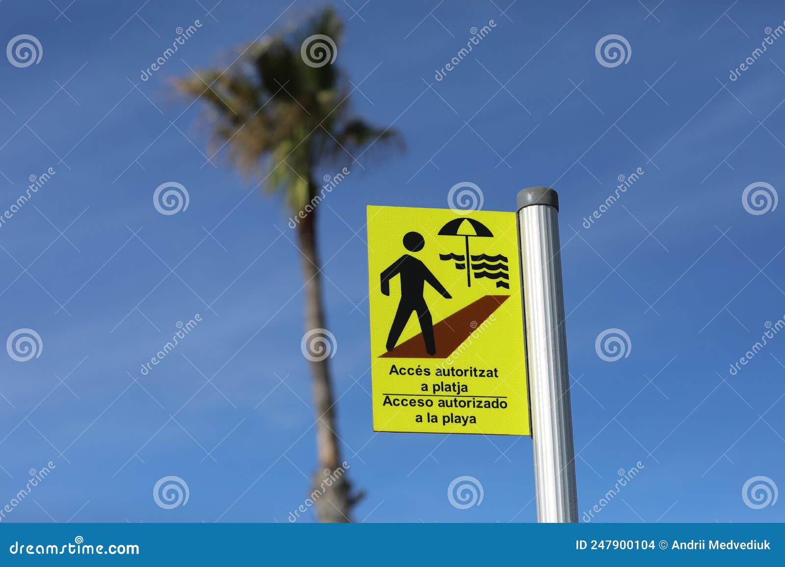 the inscription allowed access to the beach on a yellow sign in spanish and catalan acceso autoritzat a la playa