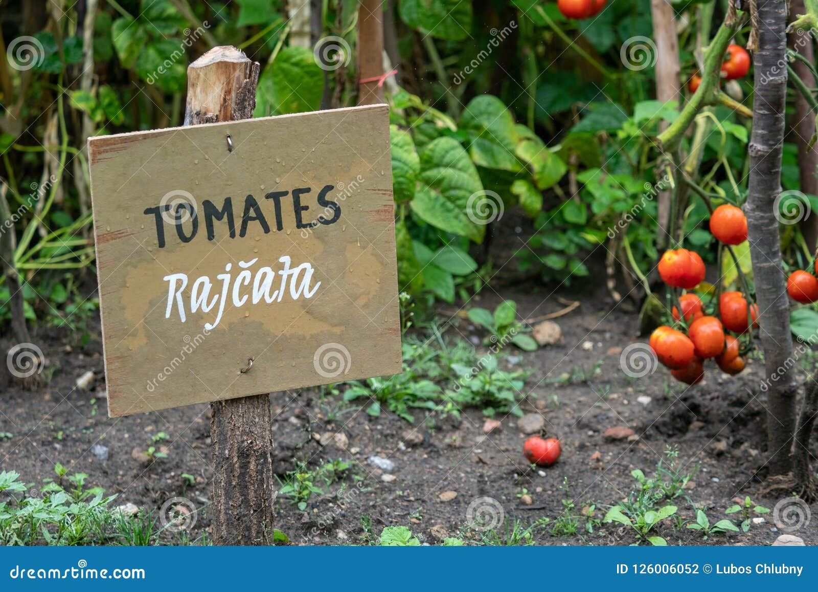 Inscription In Spanish And Czech On Wooden Board In The Garden