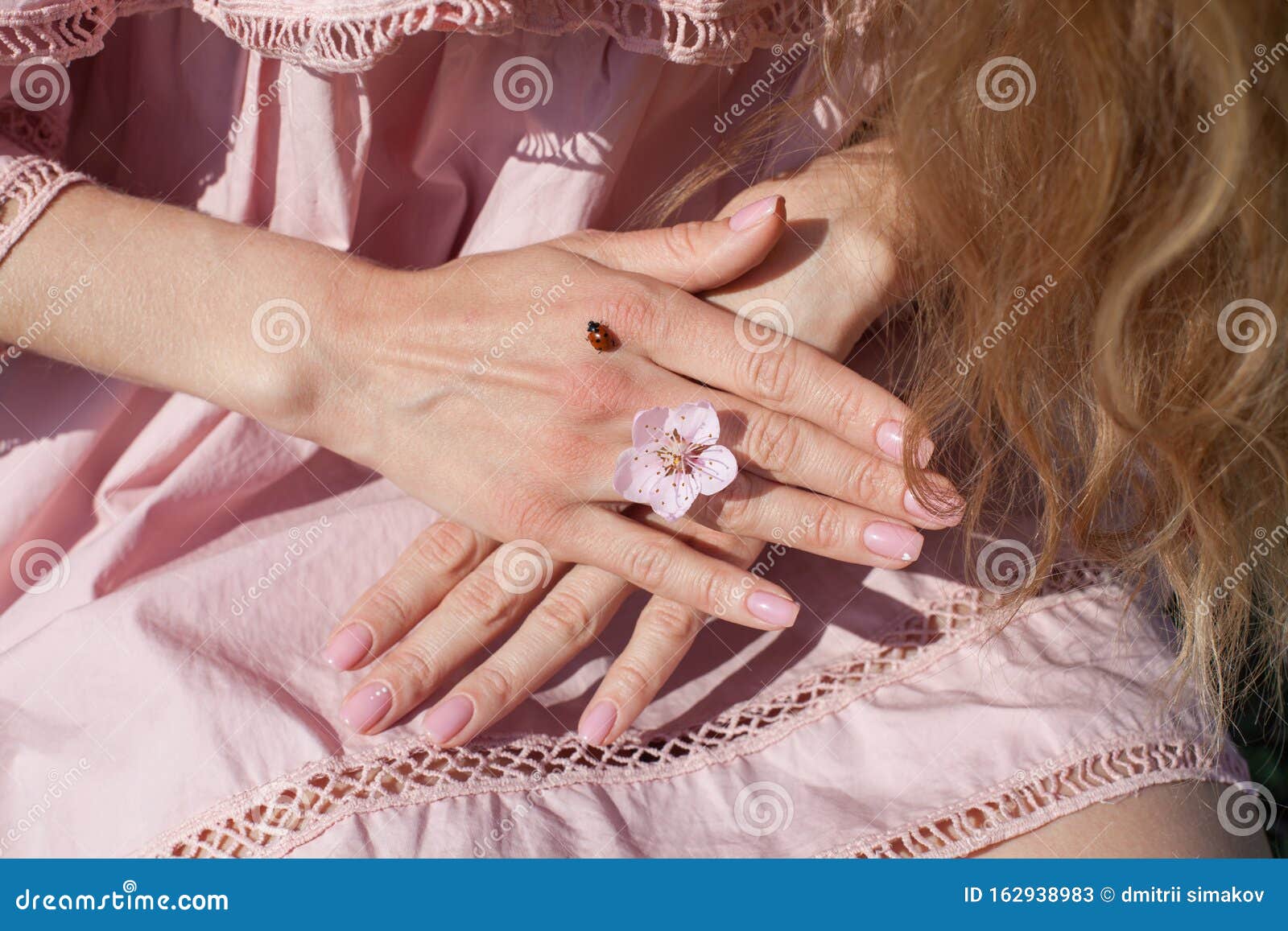 Insect Ladybug On A Blonde Woman`s Hand Stock Image Image Of Daylight Cartoon 162938983 