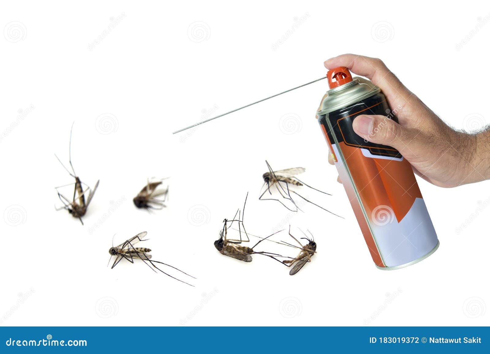 Como encontrar mosquitos