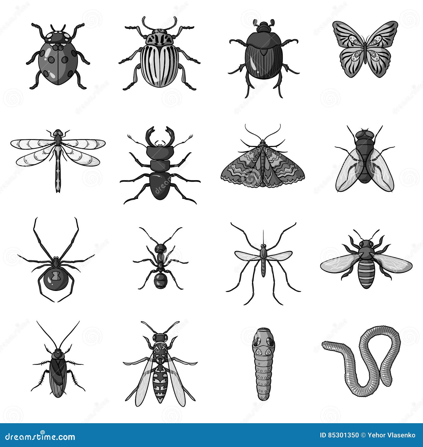 Realistisch Octrooi fiets Insecten Geplaatst Pictogrammen in Zwart-wit Stijl Grote Inzameling Van De Voorraadillustratie Van Het Insecten Vectorsymbool Vector Illustratie - Illustration of embleem, wesp: 85301350 Realistisch Octrooi fiets Insecten Geplaatst Pictogrammen in Zwart-wit Stijl Grote Inzameling Van De Voorraadillustratie Van Het Insecten Vectorsymbool Vector Illustratie - Illustration of embleem, wesp: 85301350