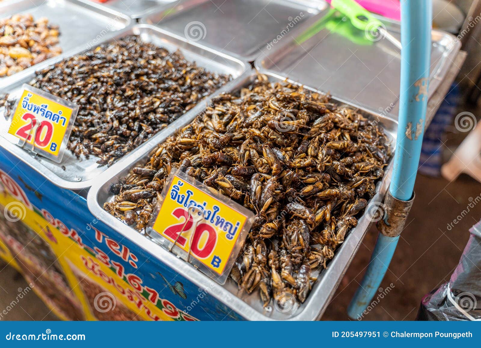 Insectes Comestibles Frits à Vendre Au Marché De Chillva Une Rue