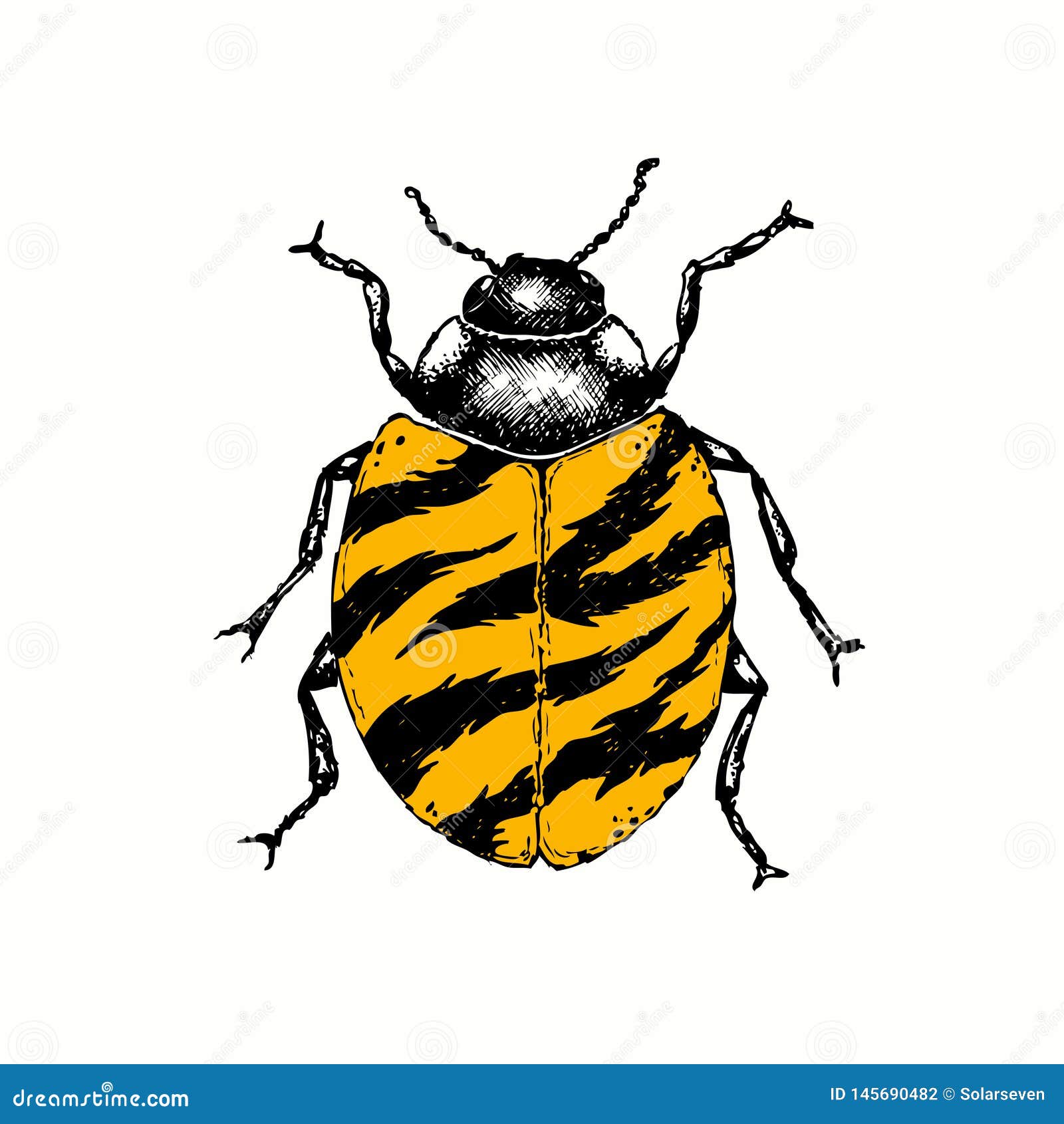 Regaño Cooperación Recitar Insecto De La Mariquita De La Fantasía Con Tiger Pattern Ilustración del Vector - Ilustración de salvaje, alas: 145690482 Regaño Cooperación Recitar Insecto De La Mariquita De La Fantasía Con Tiger Pattern Ilustración del Vector - Ilustración de salvaje, alas: 145690482
