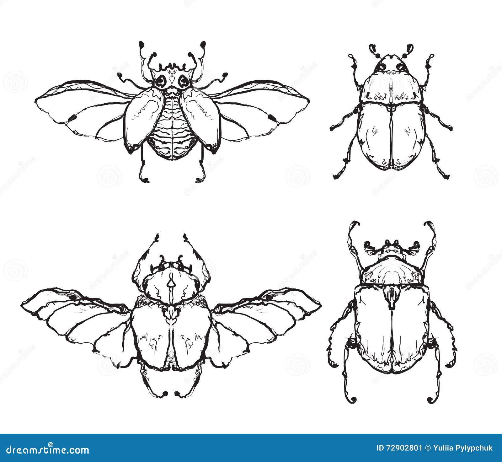 Схематичный рисунок насекомого. Маленький набросок насекомых. Набросок крыла насекомых. Майский Жук эскиз. Жук с крыльями эскиз.
