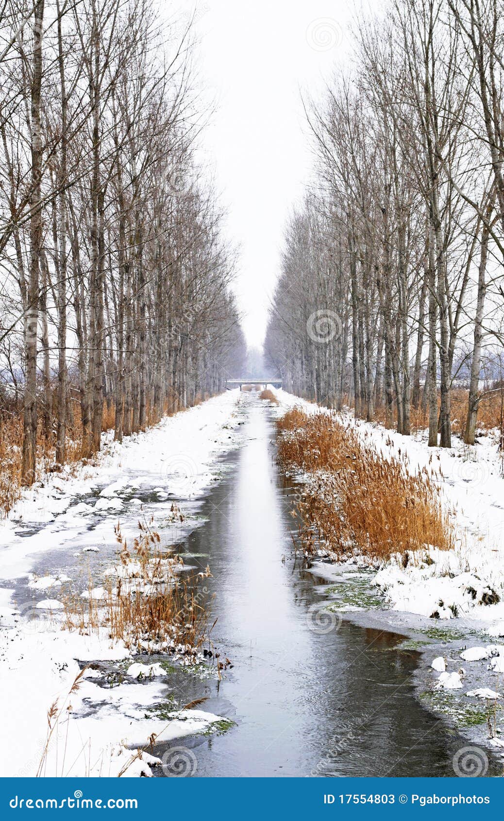 Insenatura di inverno. L'insenatura fra due viali si avvicina a Szigliget in giorno nevoso, Ungheria