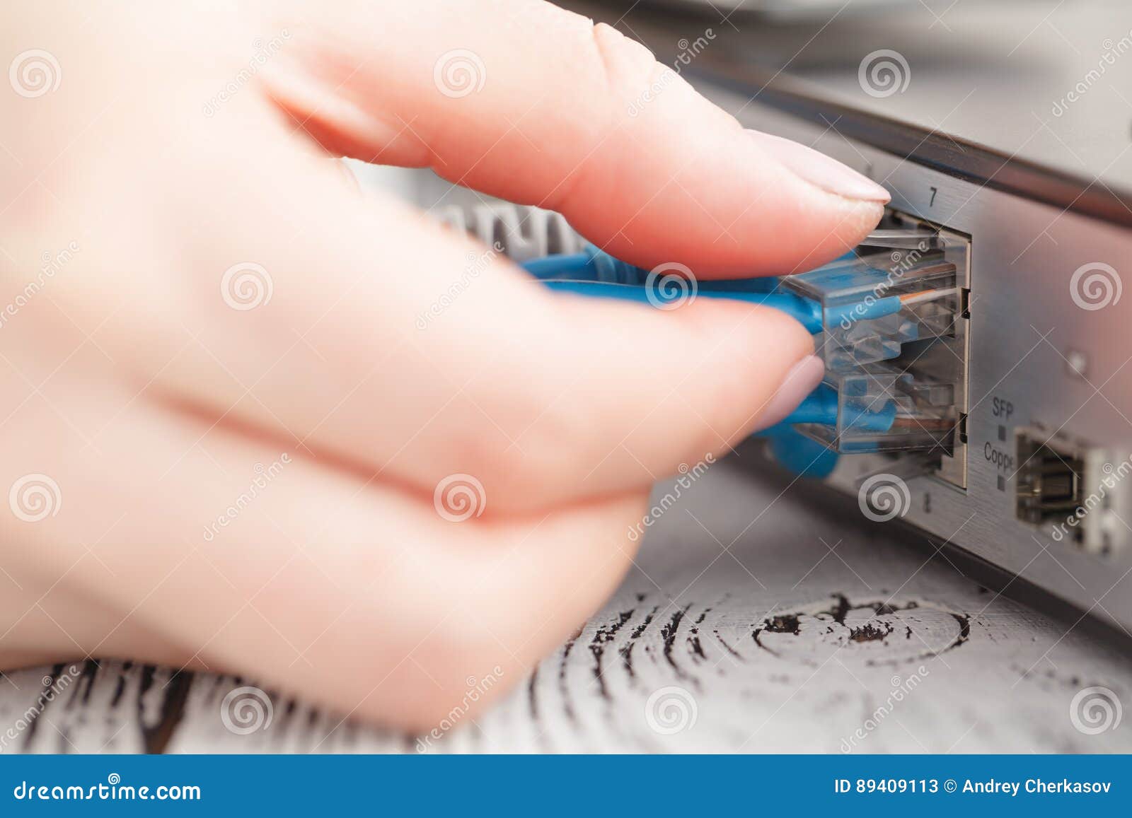 insert network patch cord in lan commutator switch