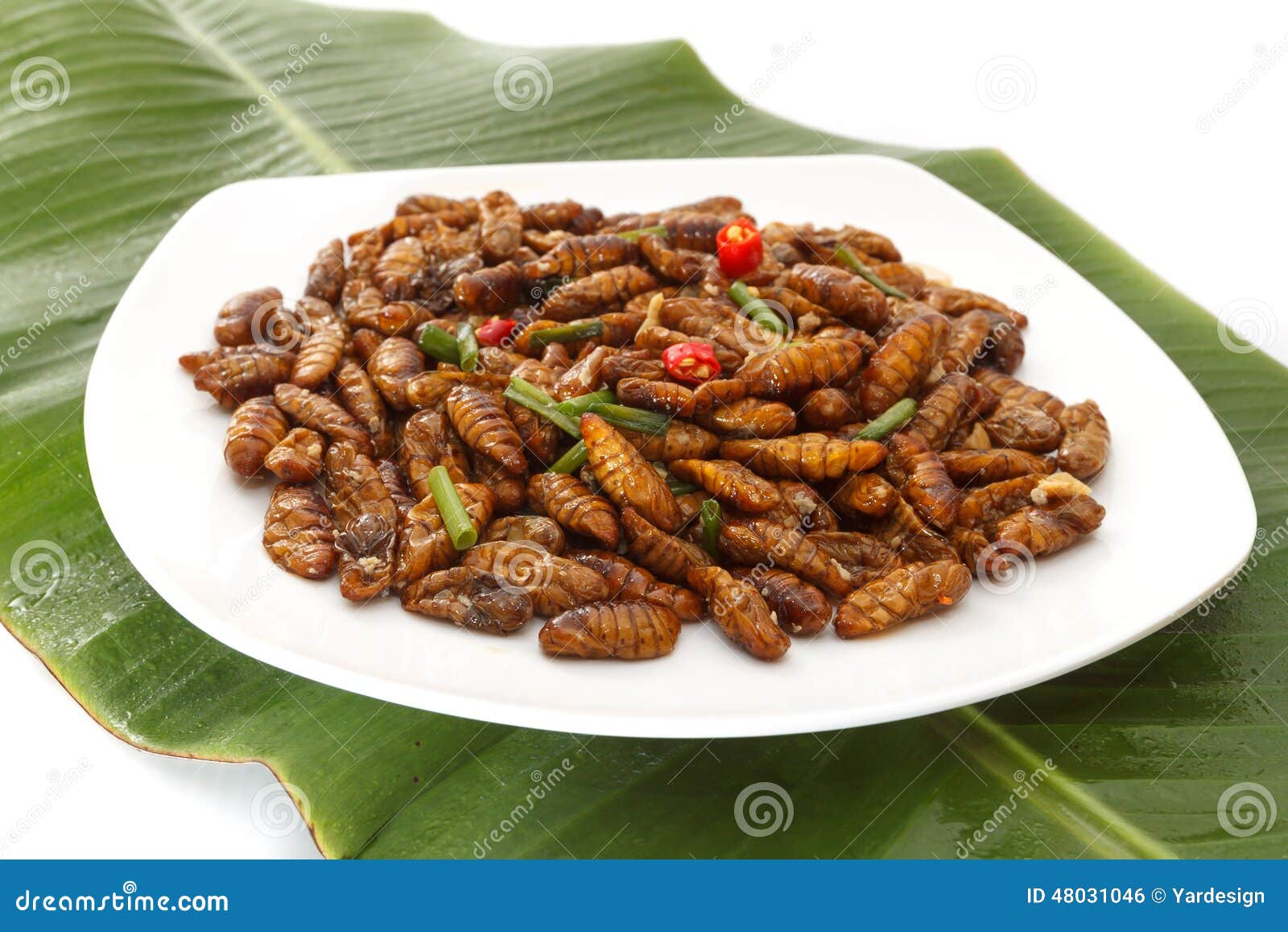 Insetti Commestibili Fritti Sul Piatto Bianco E Sulla Foglia Verde  Fotografia Stock - Immagine di alimento, chiusura: 48031046