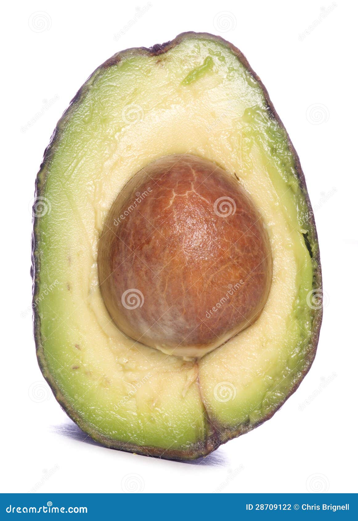Inside of an avocado stock photo. Image of inside, background 28709122