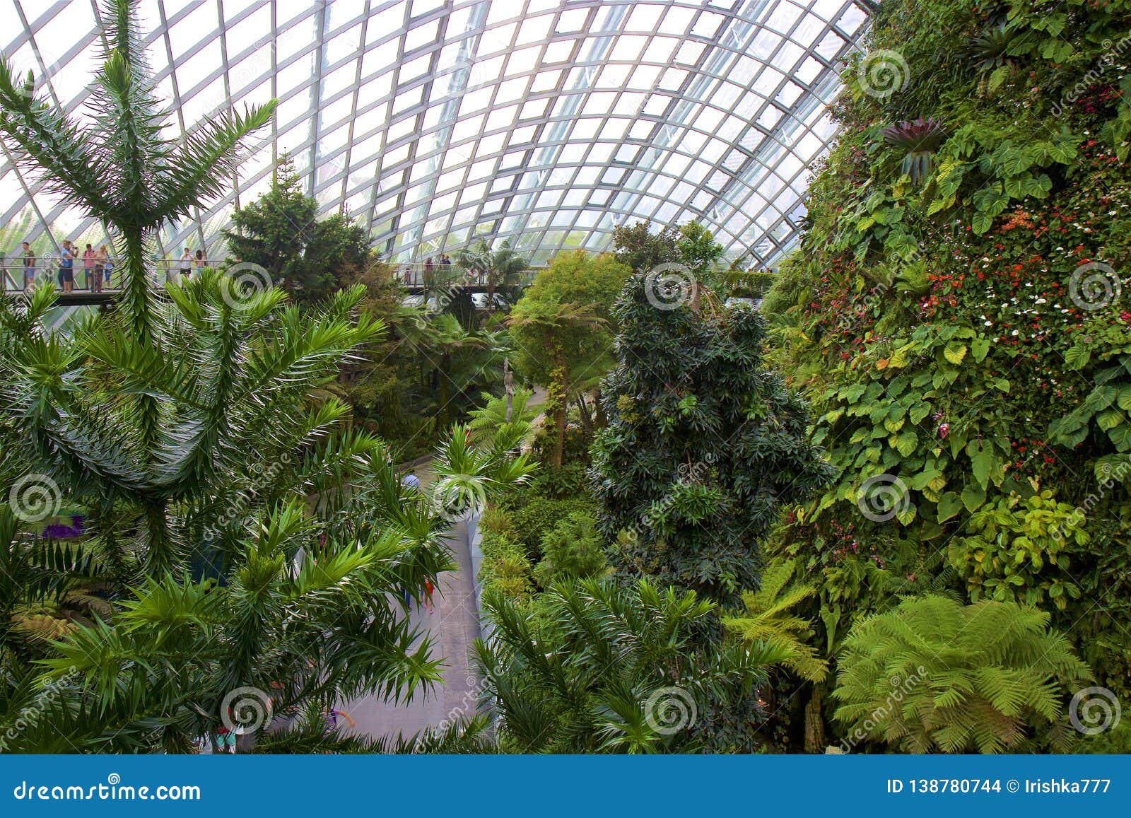 Cloud Forest Dome Gardens By The Bay Singapore Editorial Stock