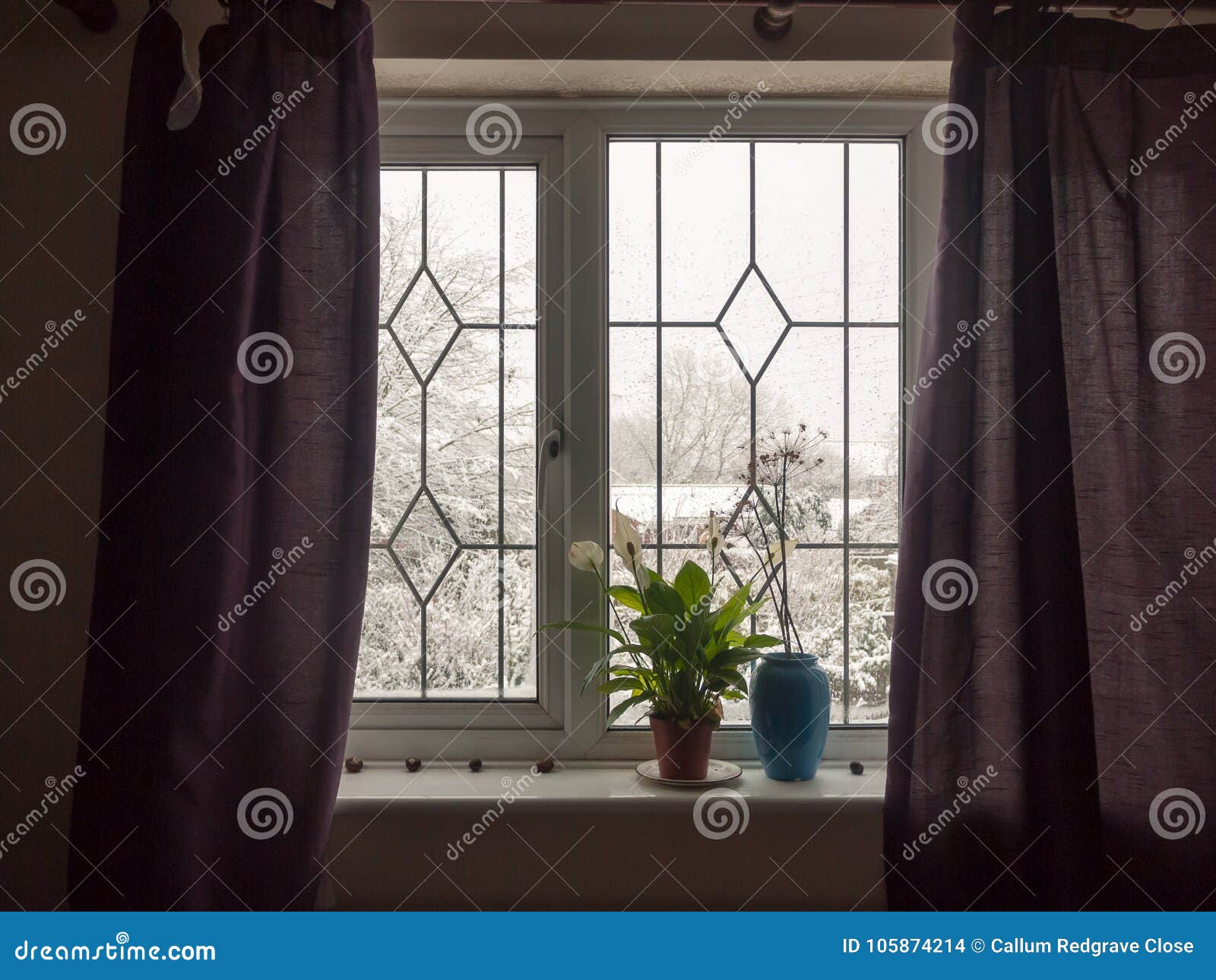 Inside Curtains Window House Room Windowsill Plant Blue Vase