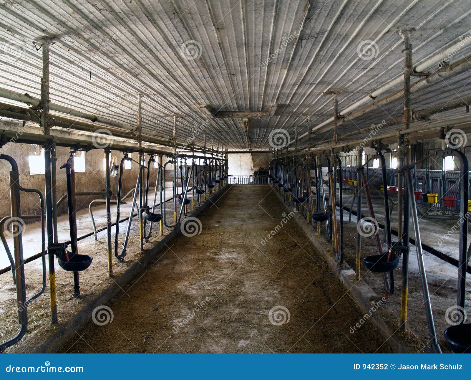 354 Dairy Barns Photos Free Royalty Free Stock Photos From Dreamstime